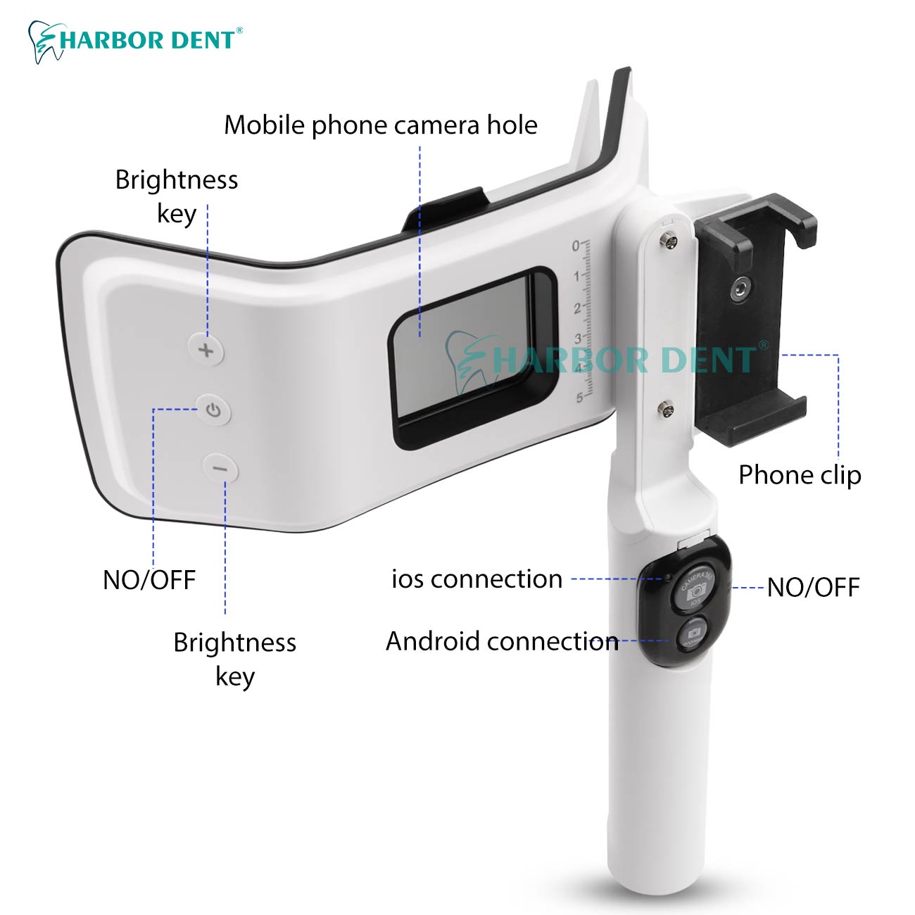 Factory Direct Dental Photogra - Photography Lighting Direction review and price