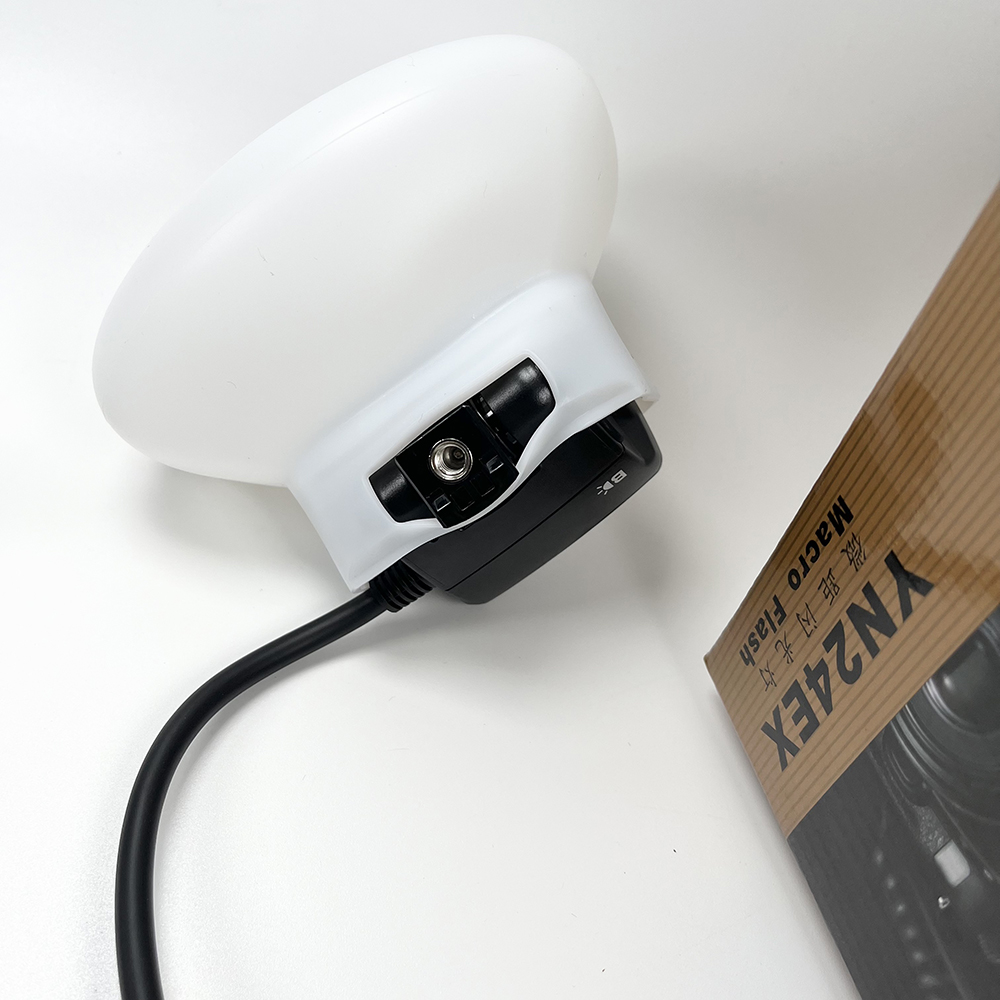 2pcs Softbox Dual Head Flash L - Photography Lighting Godox review and price