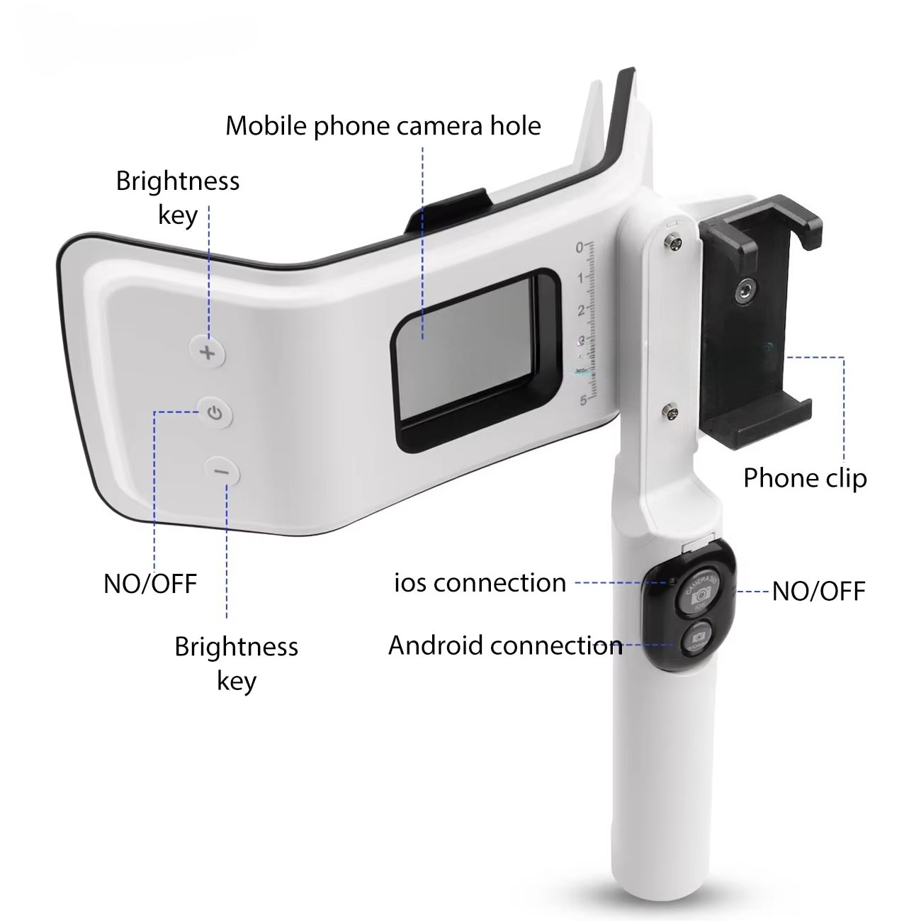 Factory Direct Dental Photogra - Photography Lighting Direction review and price